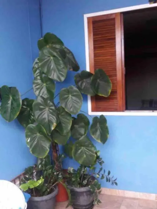 Vakantiehuis Casa Bem Localizada E Confortavel Em Cabo Frio